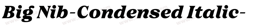 Big Nib-Condensed Italic字体转换